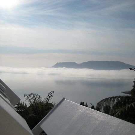 Te Whare -Lake Tarawera Tree-Top Nest 外观 照片